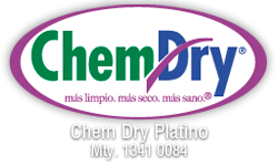 ChemDry Platino